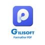 Gilisoft Formathor - 1 PC(Lifetime)