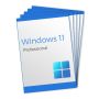 Win 11 Professional - 5 Keys