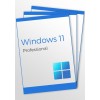 Windows 11 Professional - 3 keys