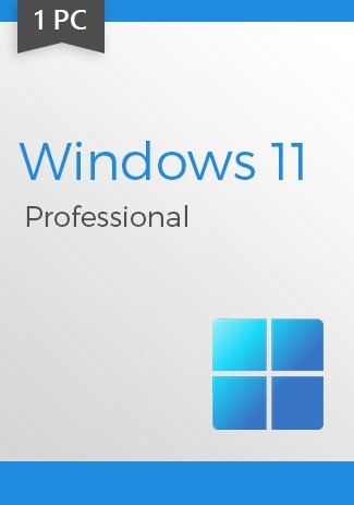 Windows 11 Professional (1 PC)