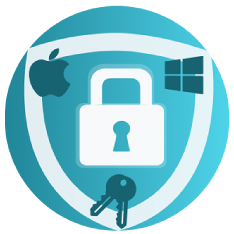 Gilisoft Full Disk Encryption key